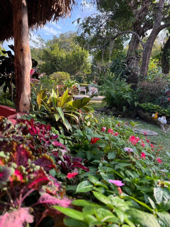 Bed and Breakfast Casa Grimaldo El Valle de Anton Exteriér fotografie